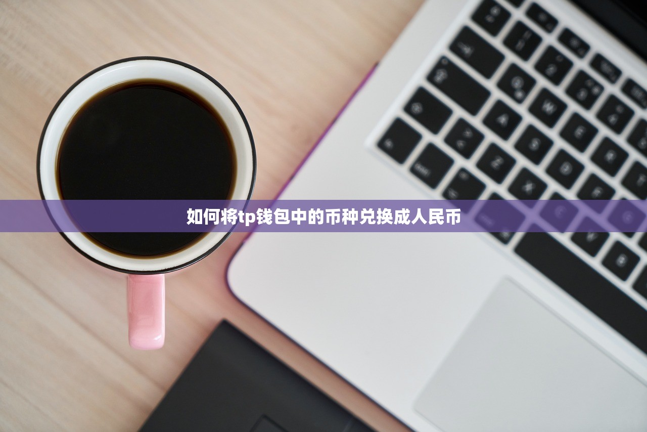 如何将tp钱包中的币种兑换成人民币