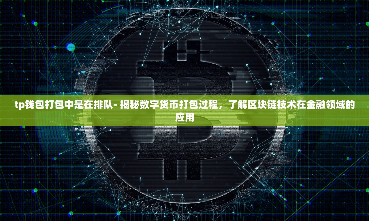 tp钱包打包中是在排队- 揭秘数字货币打包过程，了解区块链技术在金融领域的应用