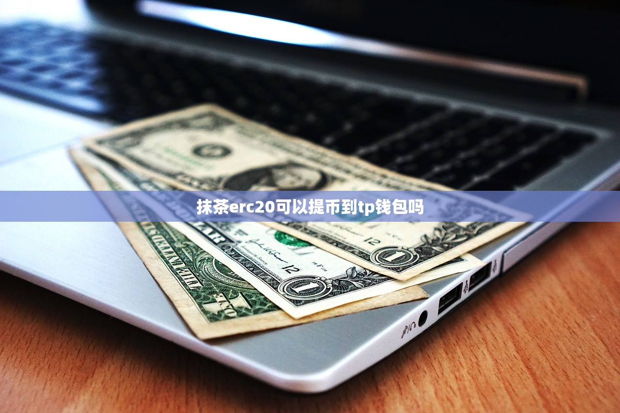 抹茶erc20可以提币到tp钱包吗