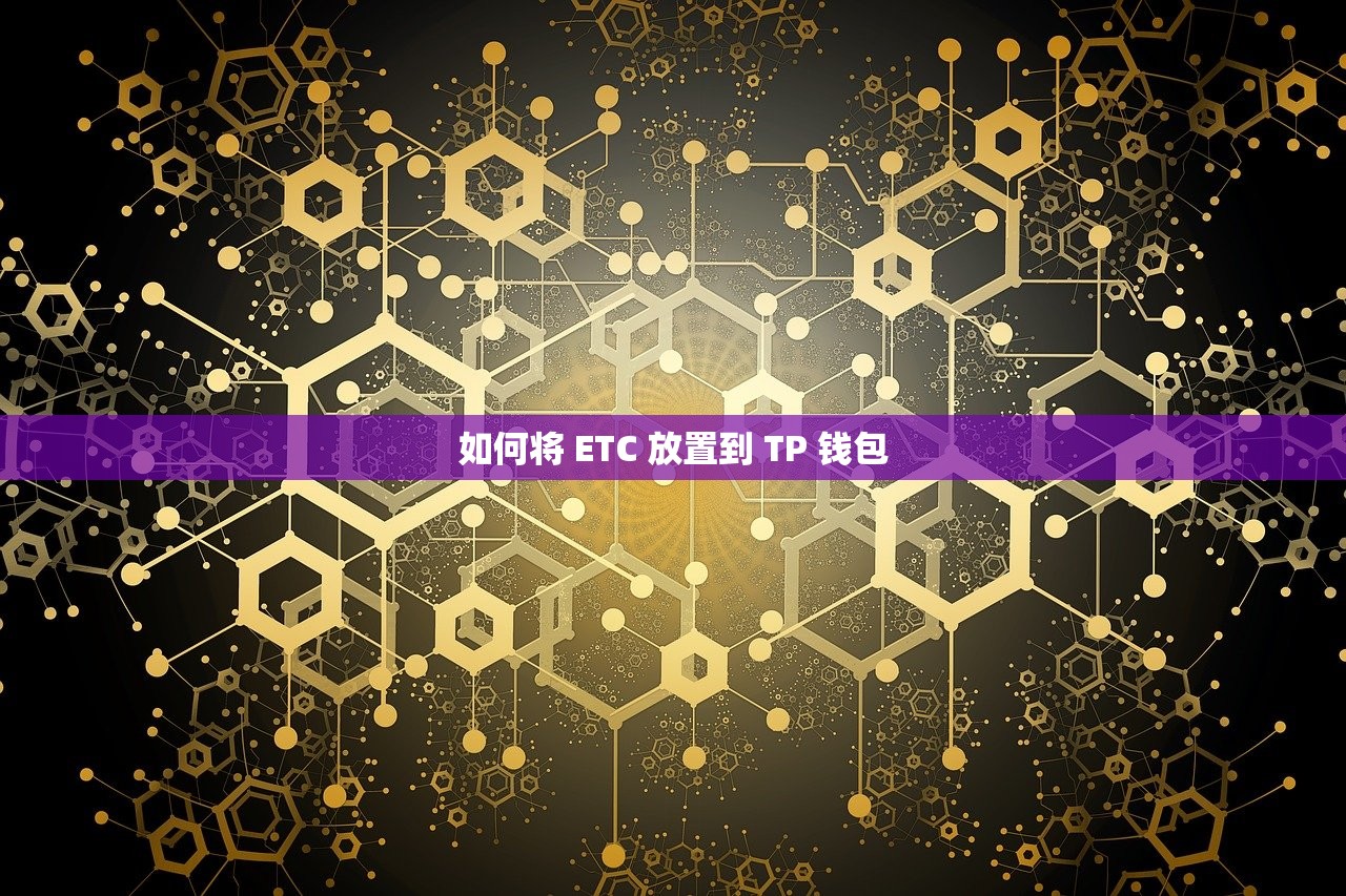 如何将 ETC 放置到 TP 钱包