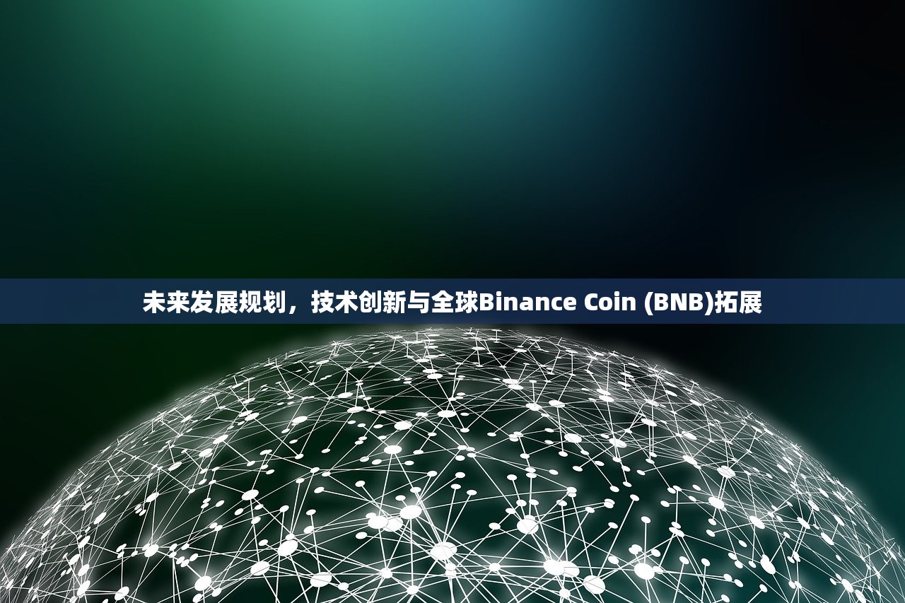 未来发展规划，技术创新与全球Binance Coin (BNB)拓展