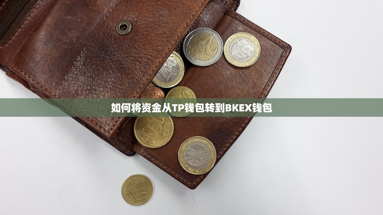 如何将资金从TP钱包转到BKEX钱包