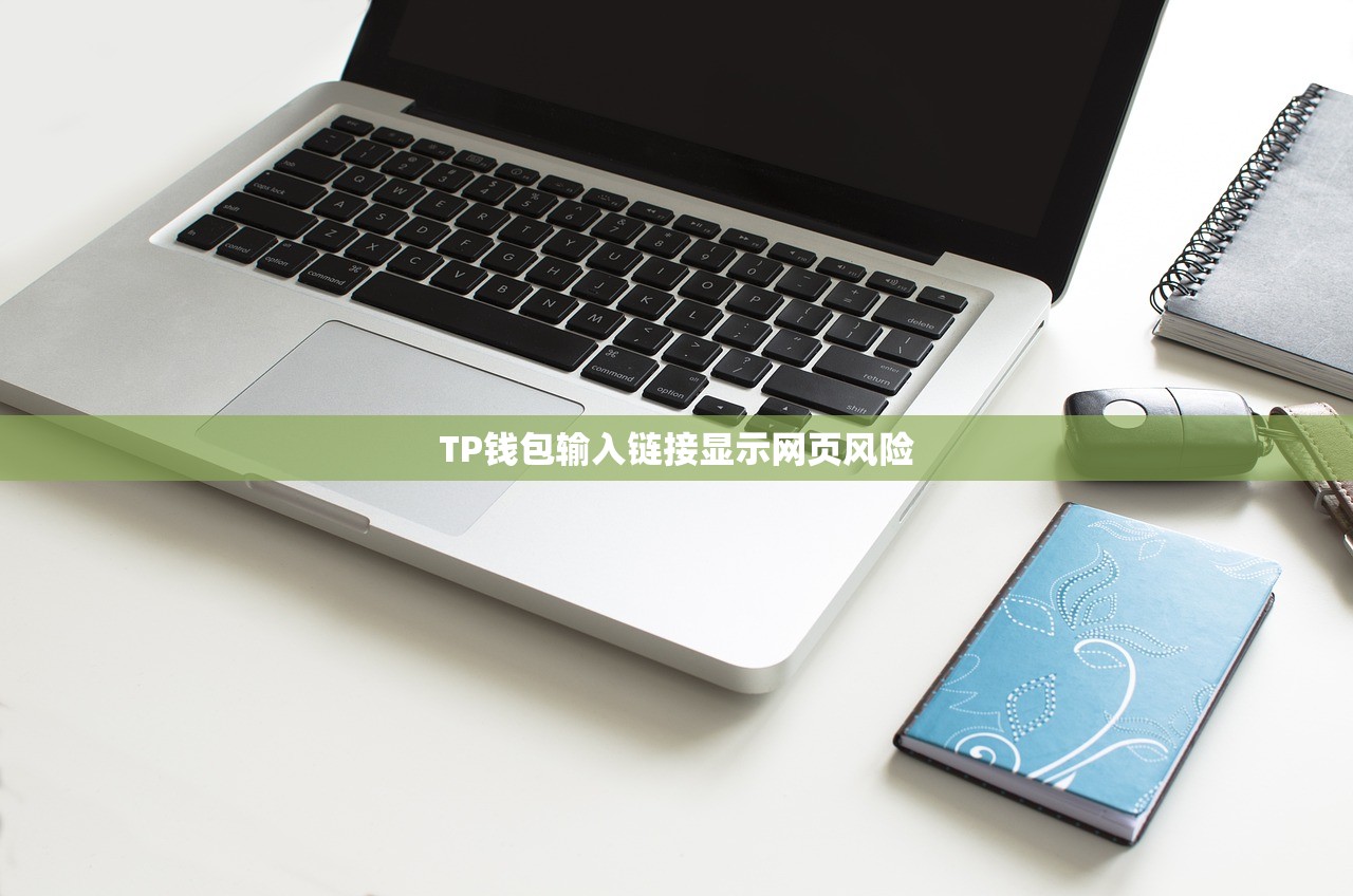 TP钱包输入链接显示网页风险