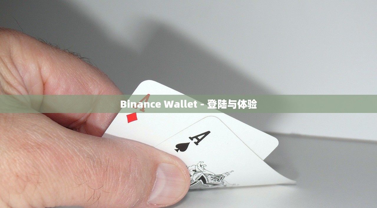 Binance Wallet - 登陆与体验