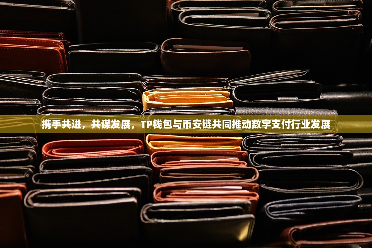 携手共进，共谋发展，TP钱包与币安链共同推动数字支付行业发展