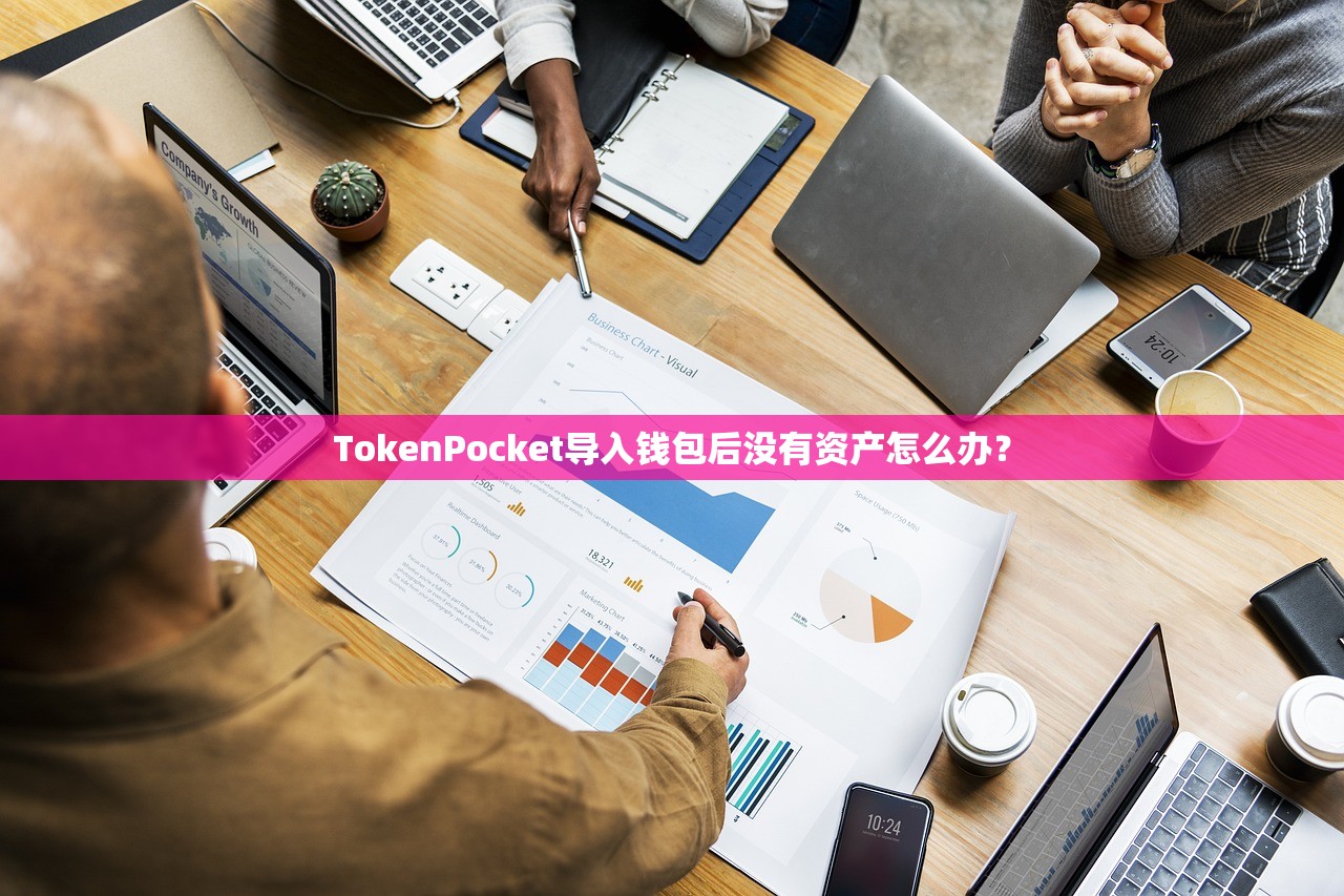 TokenPocket导入钱包后没有资产怎么办？