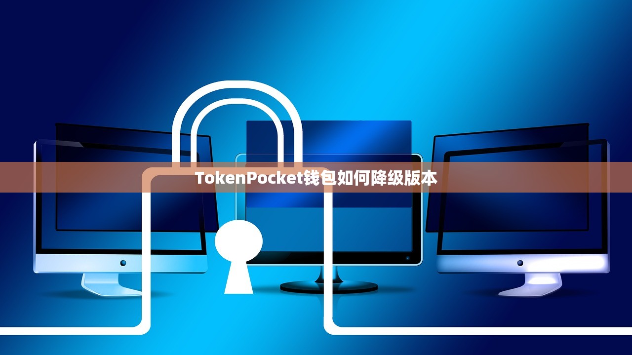 TokenPocket钱包如何降级版本