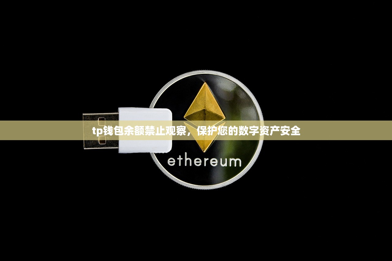 tp钱包余额禁止观察，保护您的数字资产安全