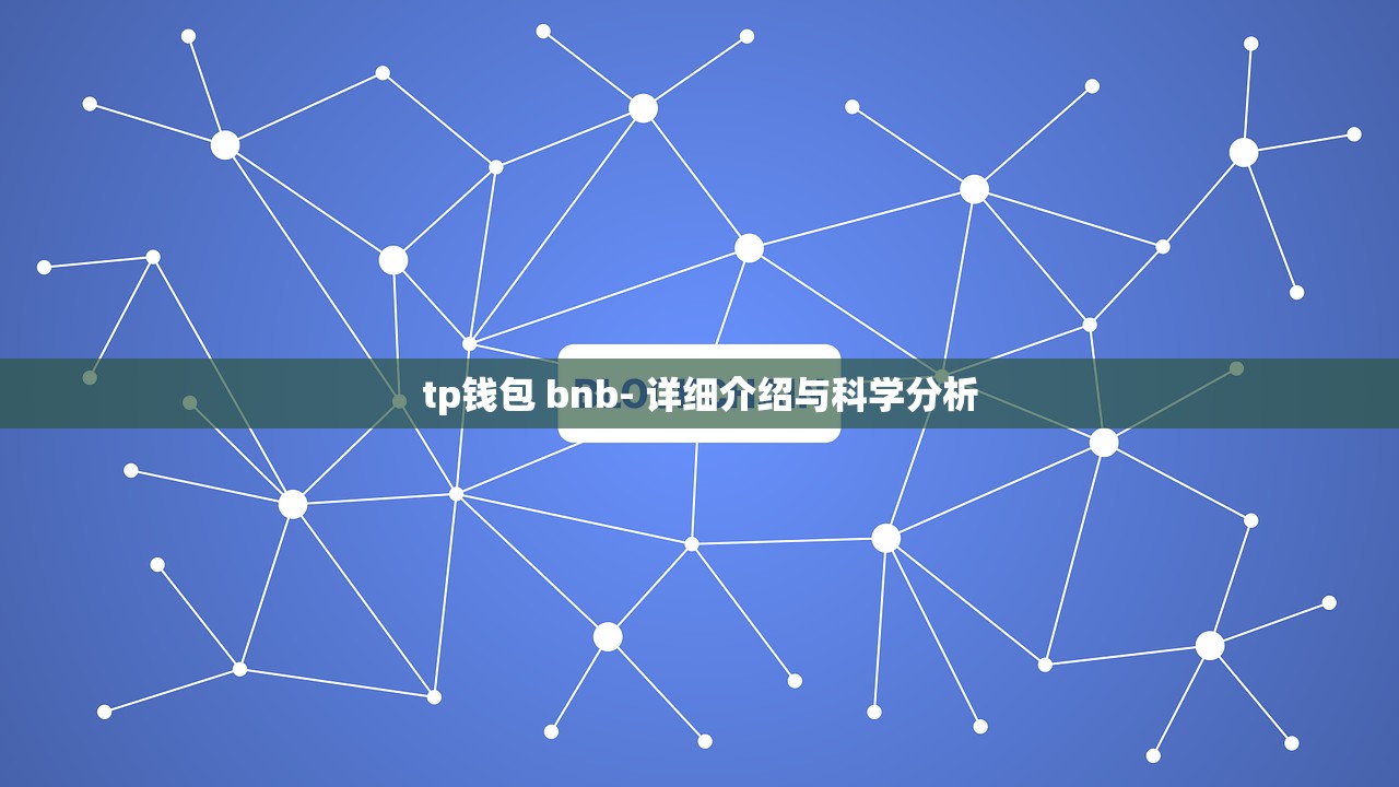 tp钱包 bnb- 详细介绍与科学分析