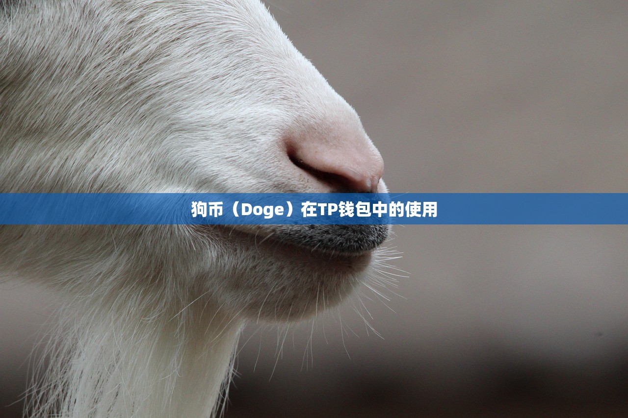 狗币（Doge）在TP钱包中的使用