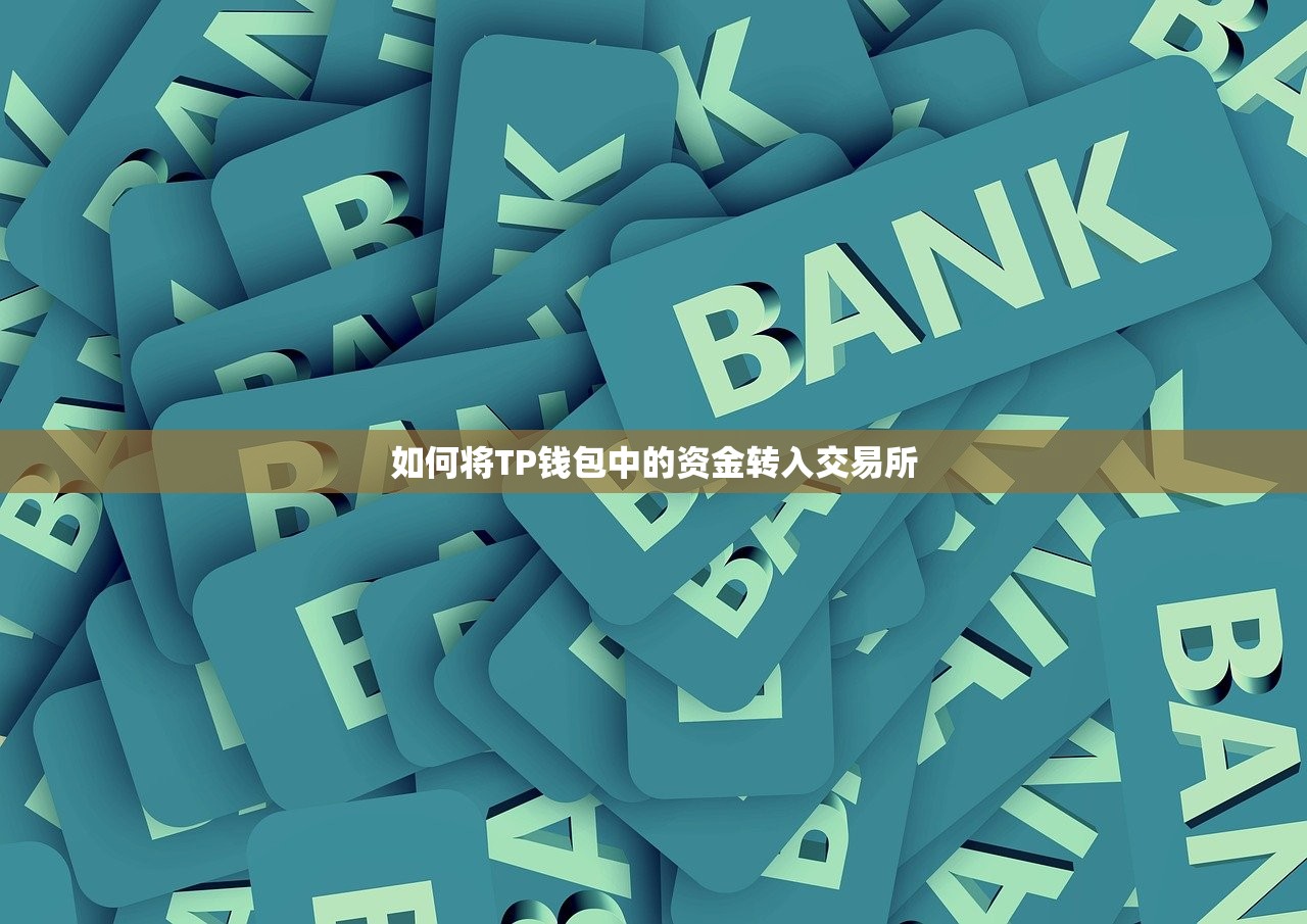 如何将TP钱包中的资金转入交易所