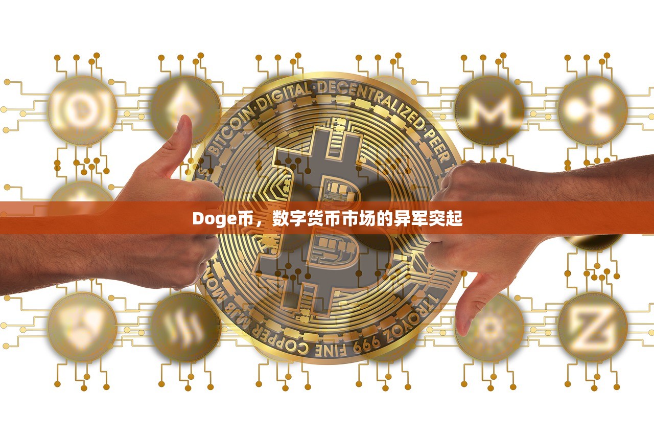 Doge币，数字货币市场的异军突起