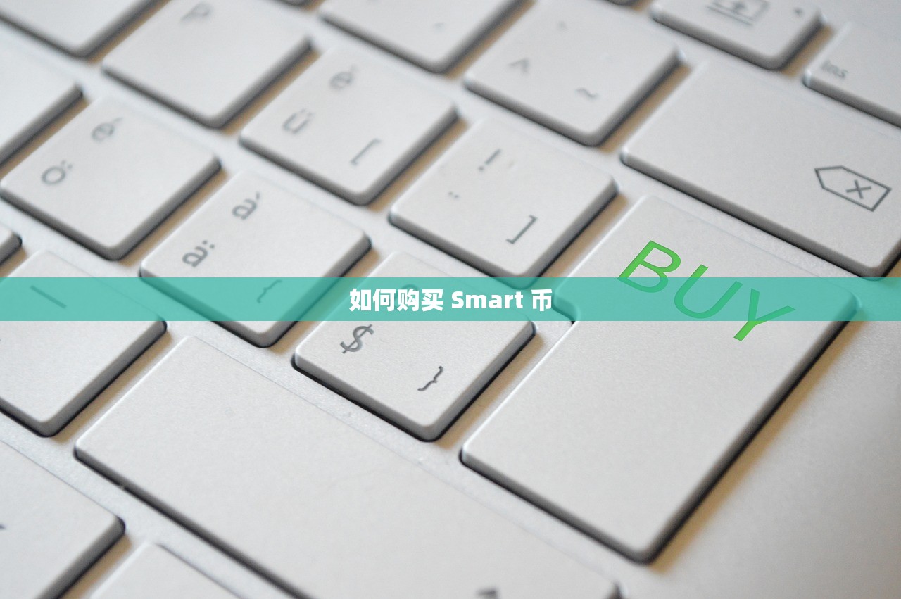 如何购买 Smart 币