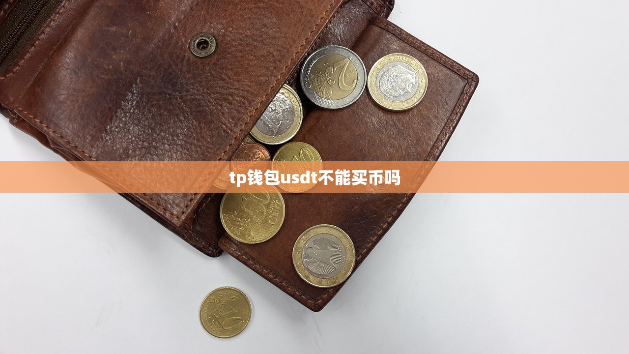 tp钱包usdt不能买币吗