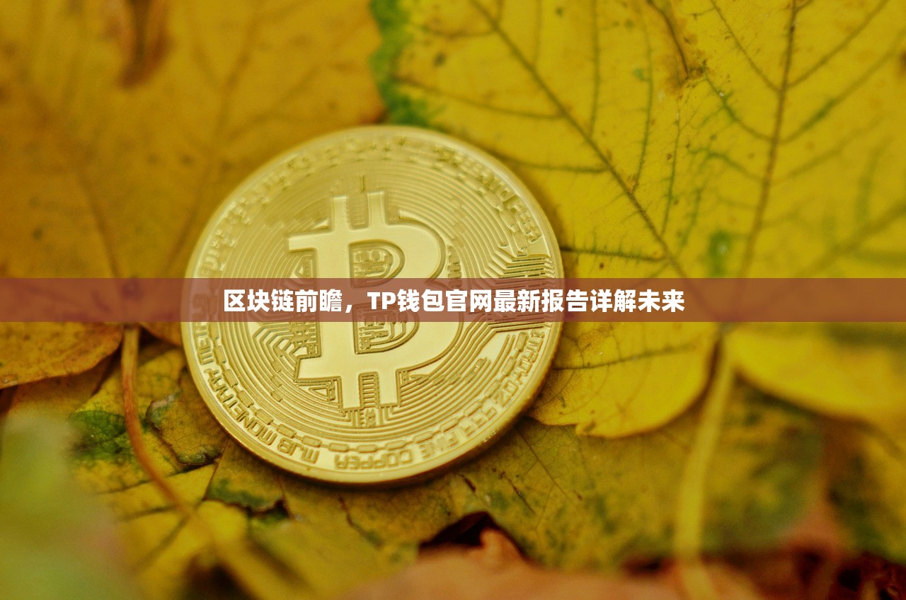 区块链前瞻，TP钱包官网最新报告详解未来