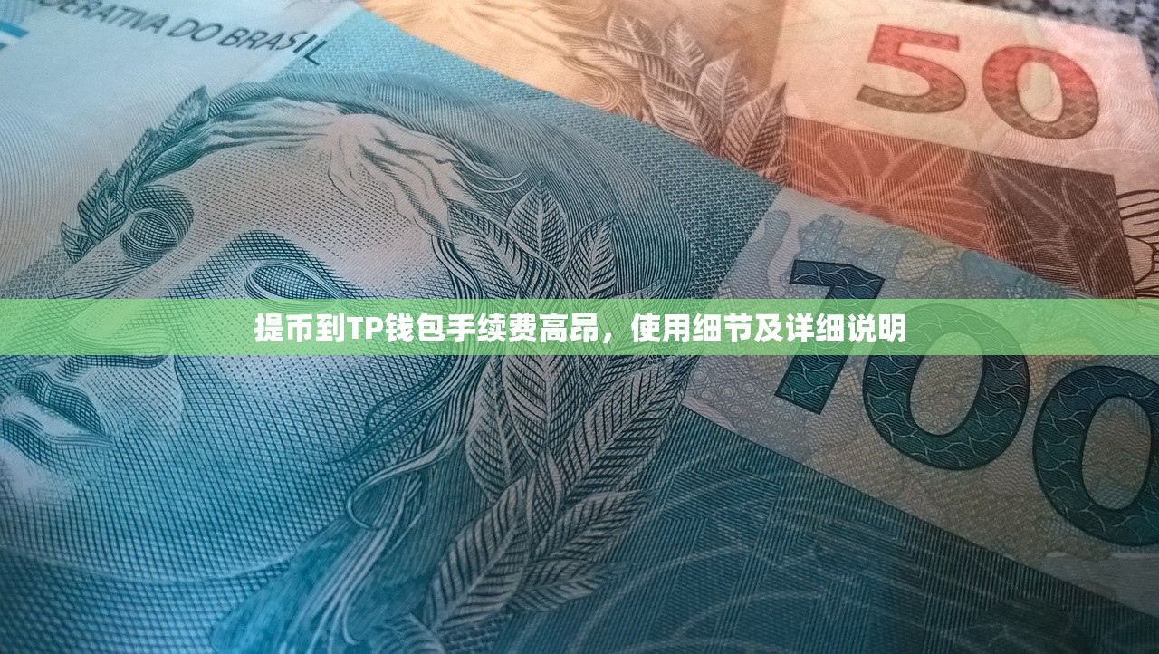 提币到TP钱包手续费高昂，使用细节及详细说明