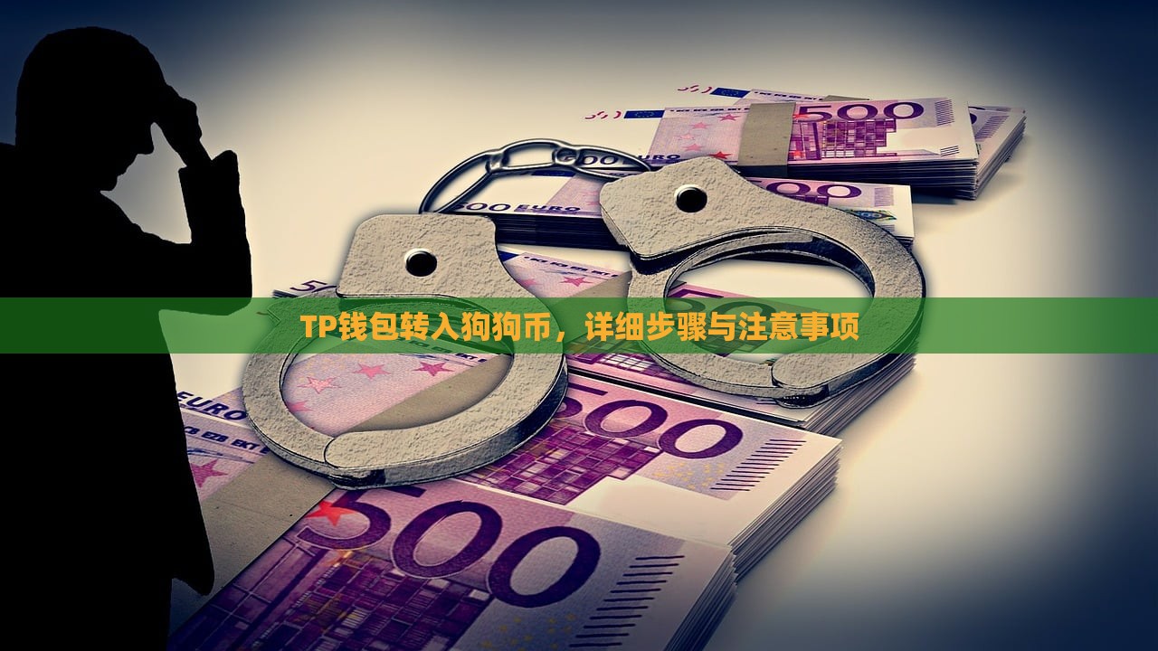 TP钱包转入狗狗币，详细步骤与注意事项