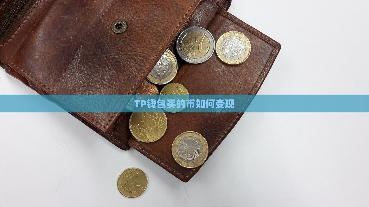 TP钱包买的币如何变现