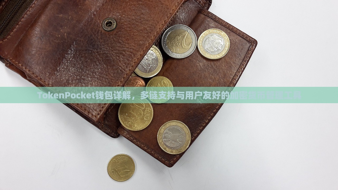 TokenPocket钱包详解，多链支持与用户友好的加密货币管理工具