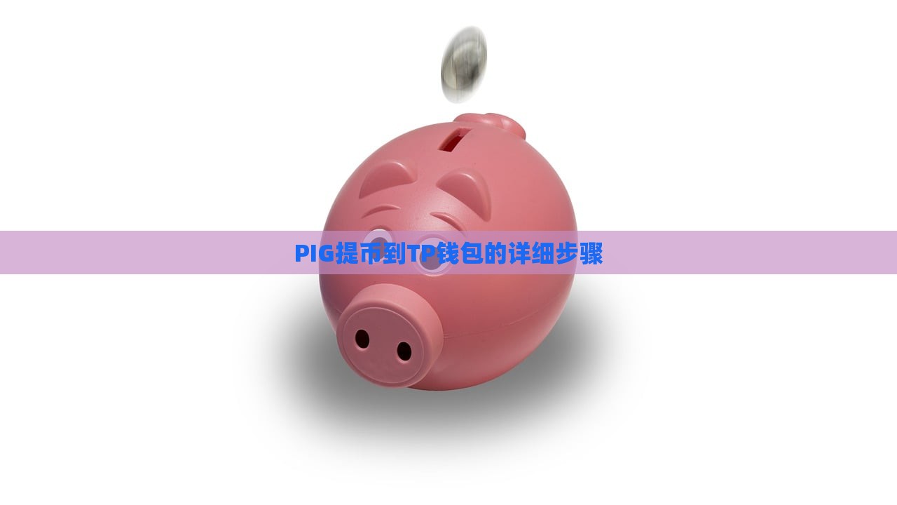 PIG提币到TP钱包的详细步骤