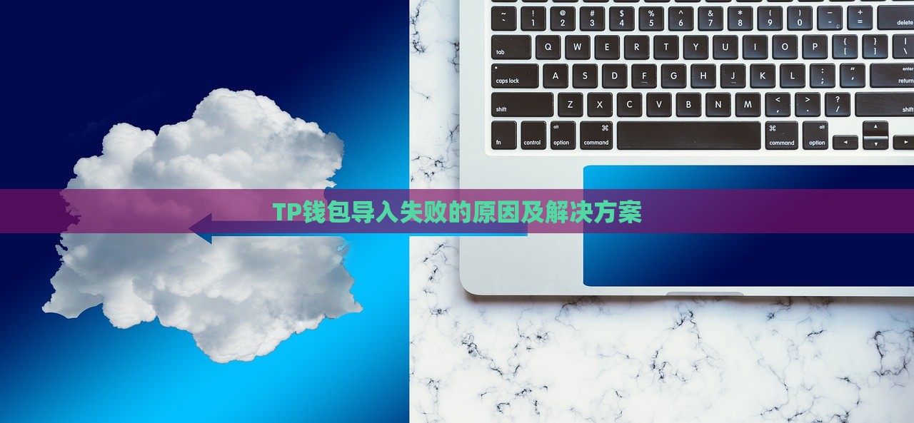 TP钱包导入失败的原因及解决方案